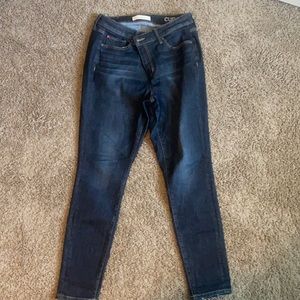 Slink Stitch Fix jeans
